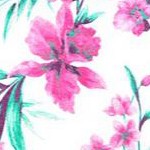 white tropical orchid