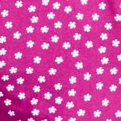 daisy dot