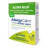 AllergyCalm by Boiron Homeopathic Medicine For Allergy Relief  -  60 Tablet - 4 of 4