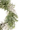 Northlight White Berry and Frosted Pine Christmas Wreath, 28-Inch, Unlit - 4 of 4