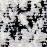 white, light gray, medium gray, black