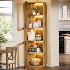 Tribesigns Farmhouse Corner Cabinet with Lights, 5-Tier Tall Storage Cabinet with 2 Doors, for Dining Room, Living Room, Kitchen, Rustic Brown - 4 of 4