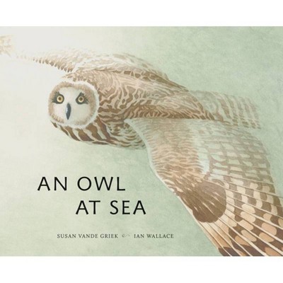 An Owl at Sea - by  Susan Vande Griek (Hardcover)