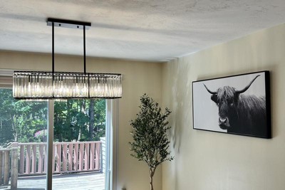Guest review image 1 of 1, zoom in