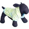 The Worthy Dog Tie Dye Hoodie - image 4 of 4