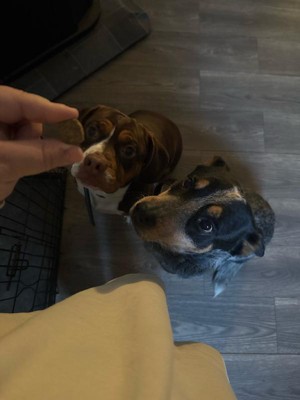 Guest review image 1 of 1, zoom in