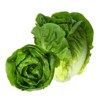Church Brothers Little Gem Lettuce - 4ct - 3 of 3