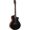 Cort Modern Masterpiece Series Concert Acoustic-Electric Guitar Transparent Black - 3 of 4