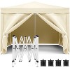 Canopy Tent 10'x10' Pop Up Canopy Tent With 4 Removable Sidewalls, Outdoor Party Canopies With 4 Weight Bags & Carry Bag For Garden Wedding Camping - 3 of 4