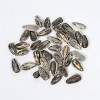 SMACKIN' Ranch Sunflower Seeds - 4oz - 4 of 4