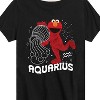 Boys' - Sesame Street - Elmo Aquarius Short Sleeve Graphic T-Shirt - 2 of 4