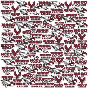 North Carolina Central University 100Ct Sticker Packs Miscellaneous 100 Ct. Sticker Pack - 1 of 4