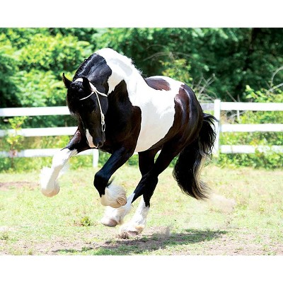 Battlefield Angel Black and White 1:9 Scale Model Horse