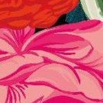 clear push pins bundle