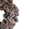 Northlight Frosted Assorted Pinecone Decorative Christmas Wreath, 13.5-Inch, Unlit - 2 of 3