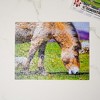 KI Puzzles Donkey 100 Piece Photographic Collection Jigsaw Puzzle - 3 of 4