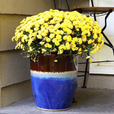 Beachcomber 14-Inch Glazed Ceramic Indoor/Outdoor Planter