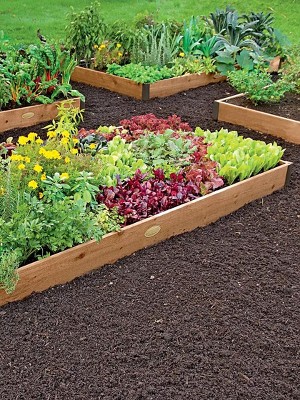 Gardener's Supply Company Cedar Raised Garden Bed | Weather Resistant Outdoor Square Planter Box For Plants, Herbs Flowers & Vegetables with