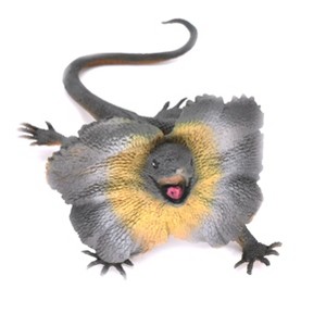 Collectible Wildlife Gifts | Lizard, Frill-Necked Lizard, Frilled Dragon, Rubber Reptile Toy, Realistic Figure, Model, Gift,   6"  F2048 B187 - 1 of 4