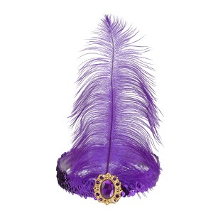 Unique Bargains Women's Feather Faux Diamond Sequins Headband 1 Pc - 1 of 4