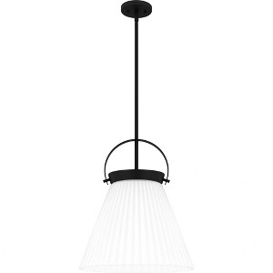 Quoizel Lighting 1 - Light Pendant in  Matte Black - 1 of 1