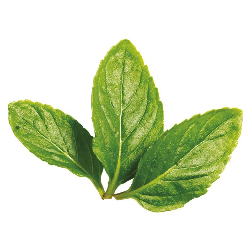 Tazo Refresh Herbal Tea - 20ct, 6 of 9