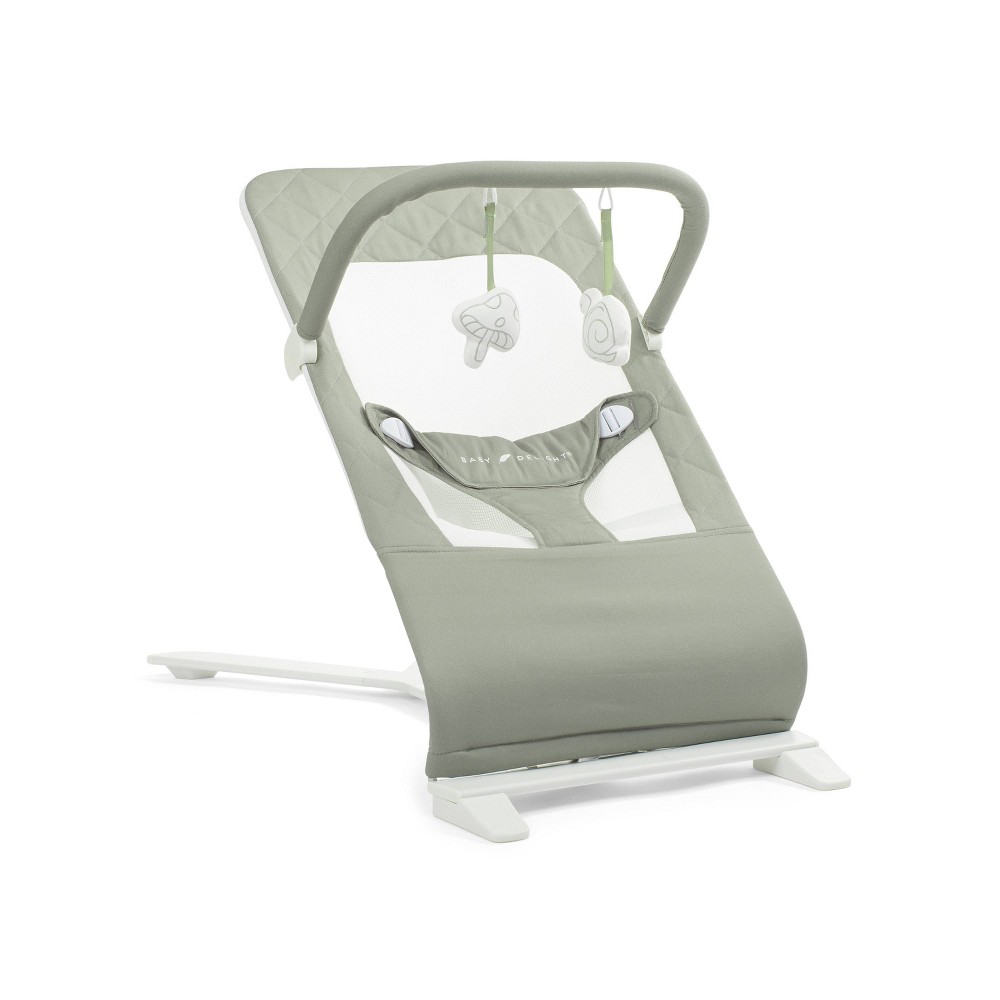Photos - Other Toys Baby Delight Alpine Deluxe Portable Bouncer - Sage 