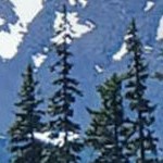 angled metallic rainbow