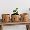 Transpac Ceramic Herb Seed Bag Set of 3 Home Decorations Spring - 2 of 2