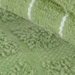 cactus green