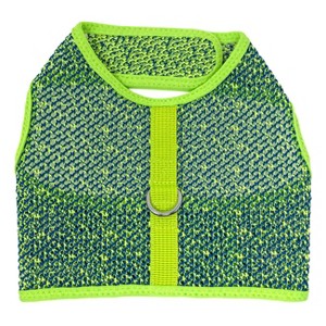 Doggie Design Active Mesh Dog Harness with Leash - Neon Green & Blue - 1 of 3