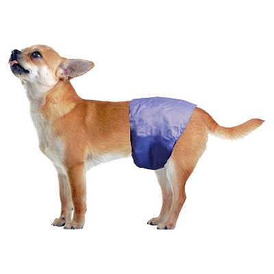 male dog diapers near me