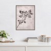 Amanti Art Elm 1 Brown by Pernille Folcarelli Canvas Wall Art Print Framed 18 x 24-in. - 4 of 4