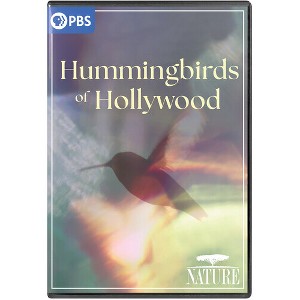 NATURE: Hummingbirds of Hollywood (DVD) - 1 of 1