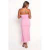 Petal and Pup Briggs Midi Dress - 3 of 4