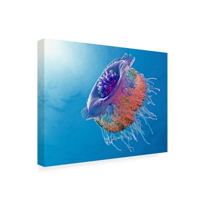 Trademark Fine Art -Henry Jager 'Crown Jellyfish' Canvas Art