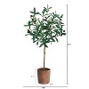 HomeStock  2.5 ft. Artificial Olive Tree in Pot for Indoor/Outdoor - 2 of 4