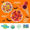 YumEarth Halloween Organic Candies Variety Bag - 16.55oz/50ct - 3 of 4