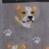 E & S Pet 14.0 Inch Pit Bull Sock Daddy Socks Premium Quality Crew Socks - 3 of 3