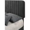 Passion Furniture Lodi Velvet UpholsteChannel Tufted Queen Panel Bed - 4 of 4