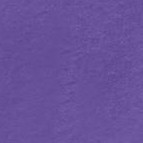 petal purple