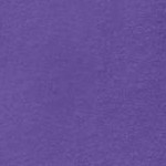 petal purple