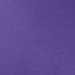 petal purple