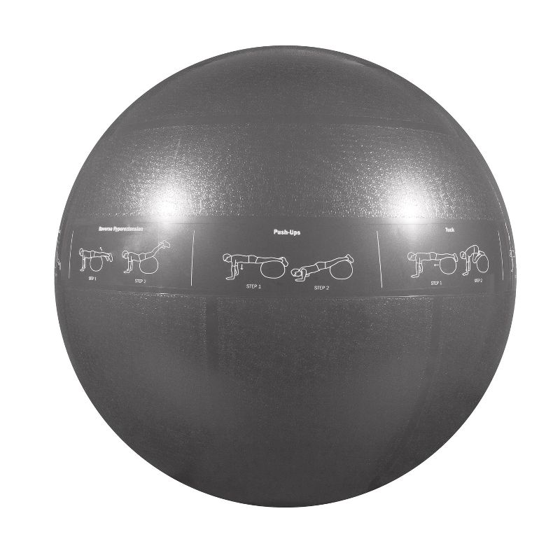 GoFit Guide Ball-Pro Grade Stability Ball - Gray (75cm), 1 of 5