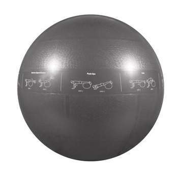 GoFit Guide Ball-Pro Grade Stability Ball - Gray (75cm)