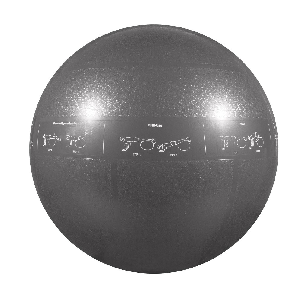 Photos - Exercise Ball / Medicine Ball Petra GoFit Guide Ball-Pro Grade Stability Ball - Gray  (75cm)