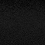 north carolina state wolfpack