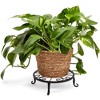 Farmlyn Creek 4 Pack Black Metal Plant Stand, Flower Pot Holder for Indoor & Outdoor, Garden or Home Decor, 9" x 2.7" - 3 of 4