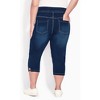 Avenue Women's Plus Size Butter Denim Lattice Jean - 3 of 4