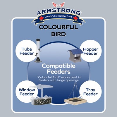 Armstrong Colourful Bird Seed Blend for Finches, 8 Pounds